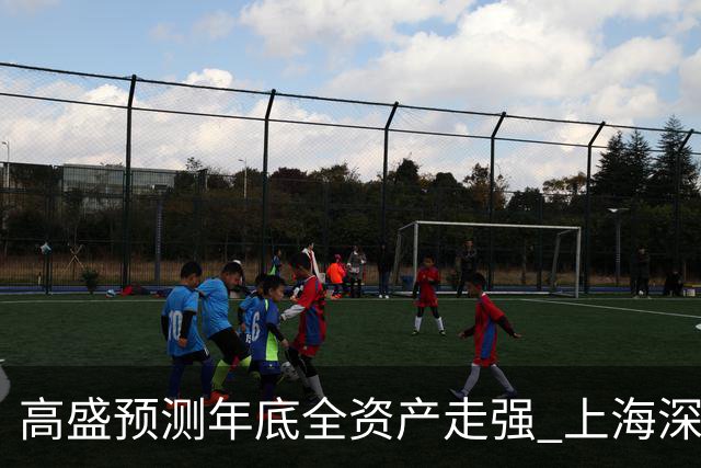 高盛预测年底全资产走强 上海深圳房价三年回升15%